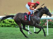 Benji's Empire<br>Photo by Singapore Turf Club